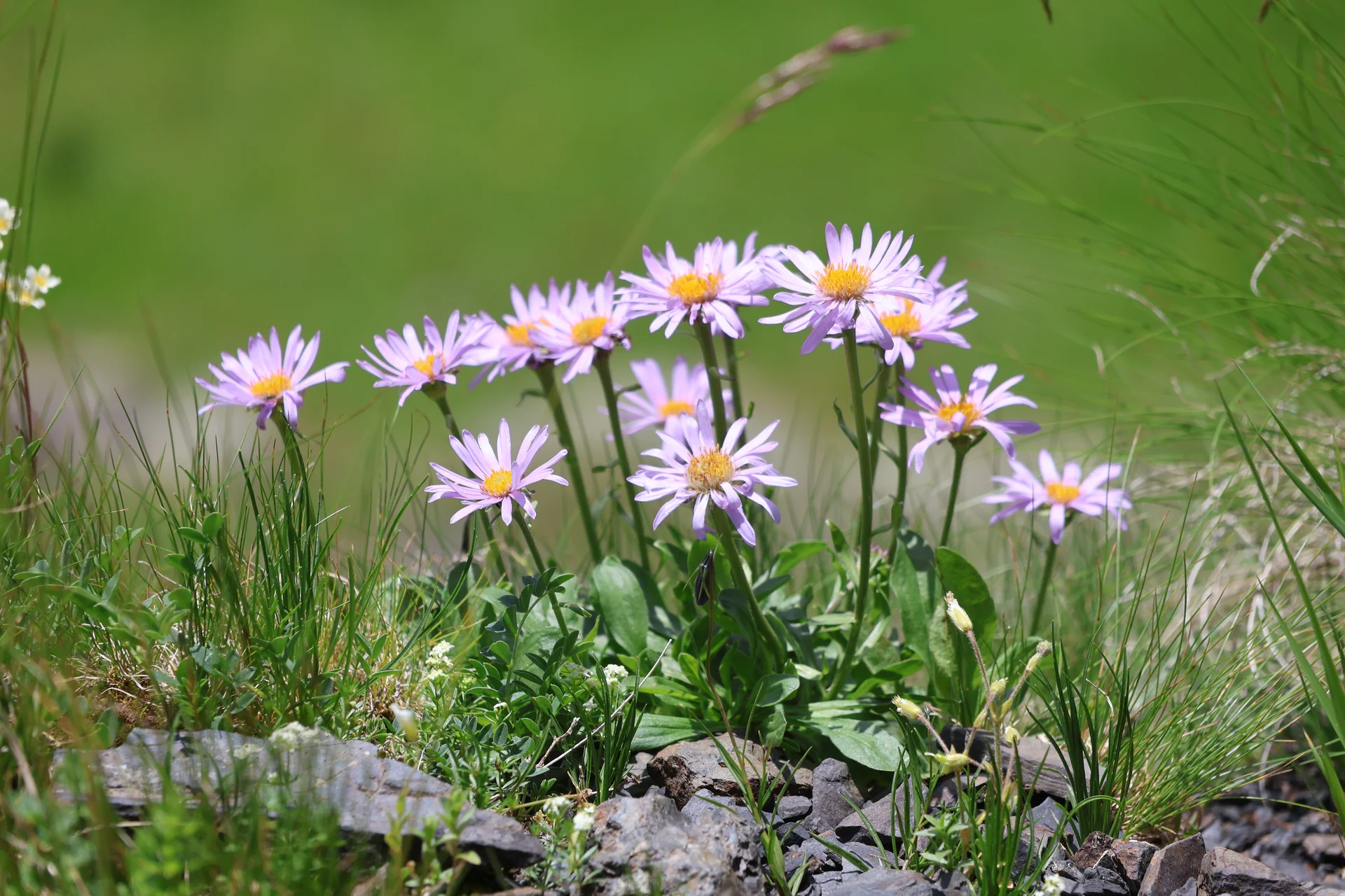 © Bergfreunde München WW