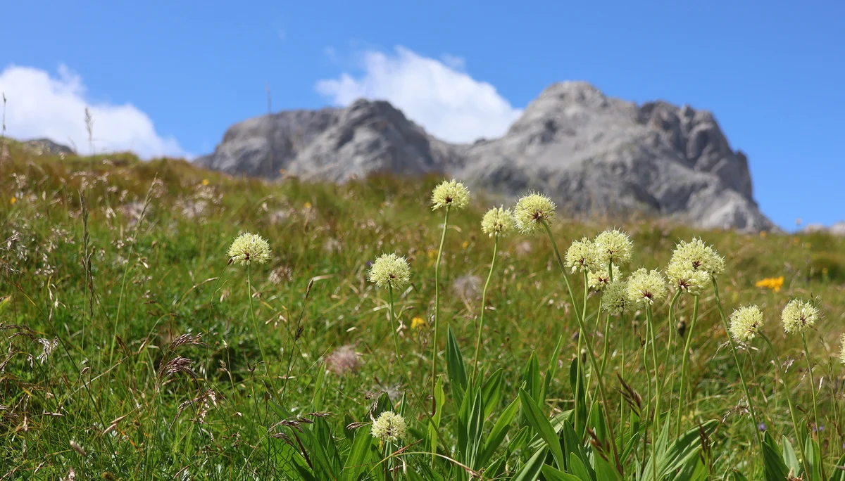 © Bergfreunde München WW