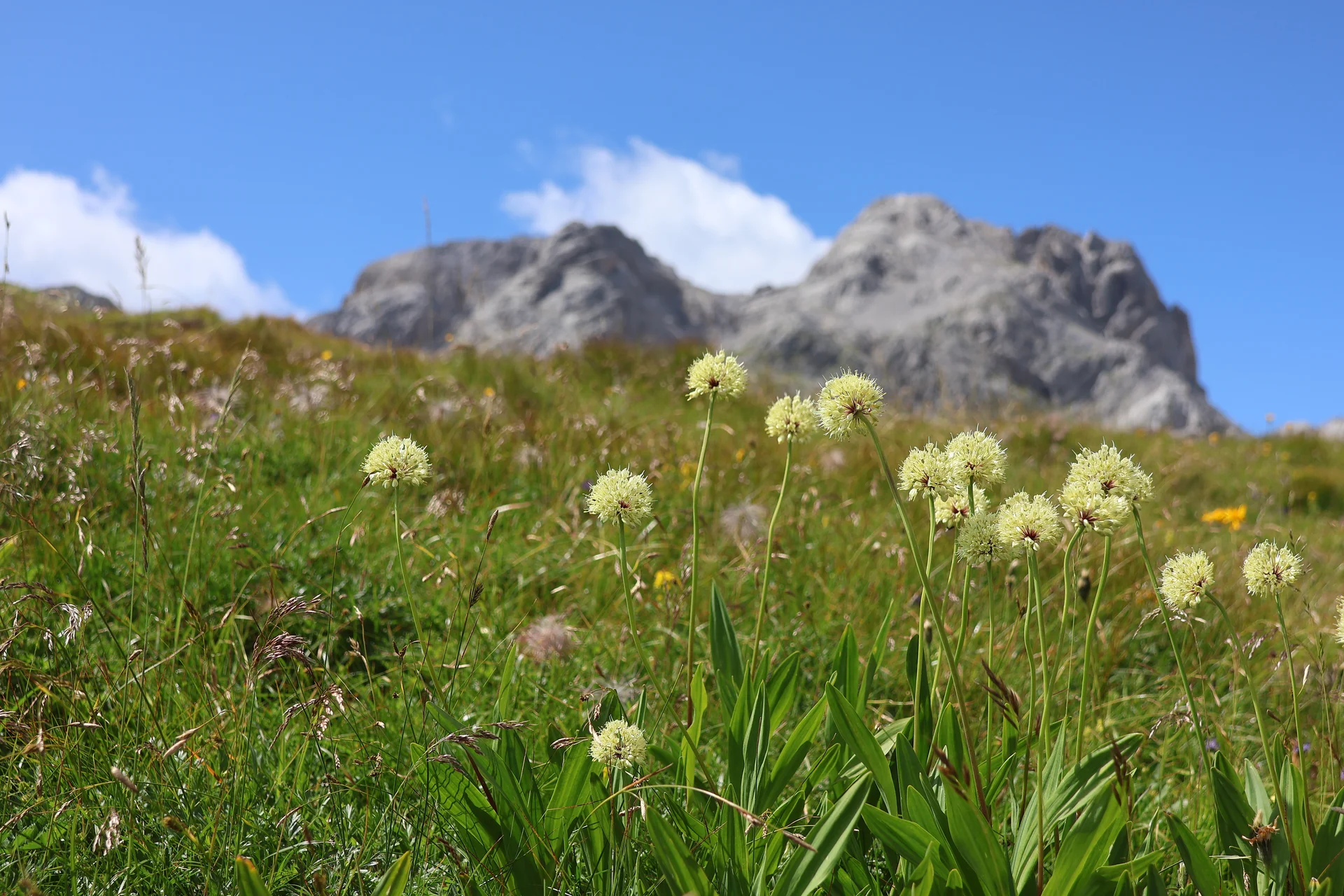 © Bergfreunde München WW
