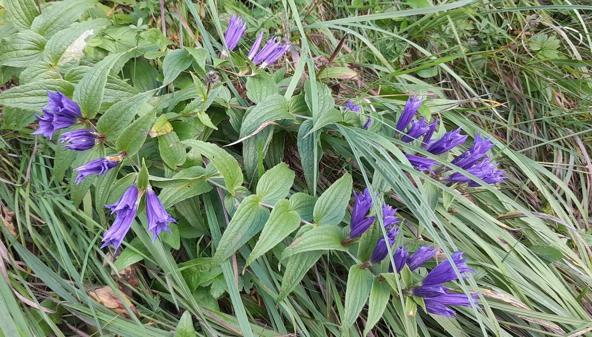 © Bergfreunde München bcf