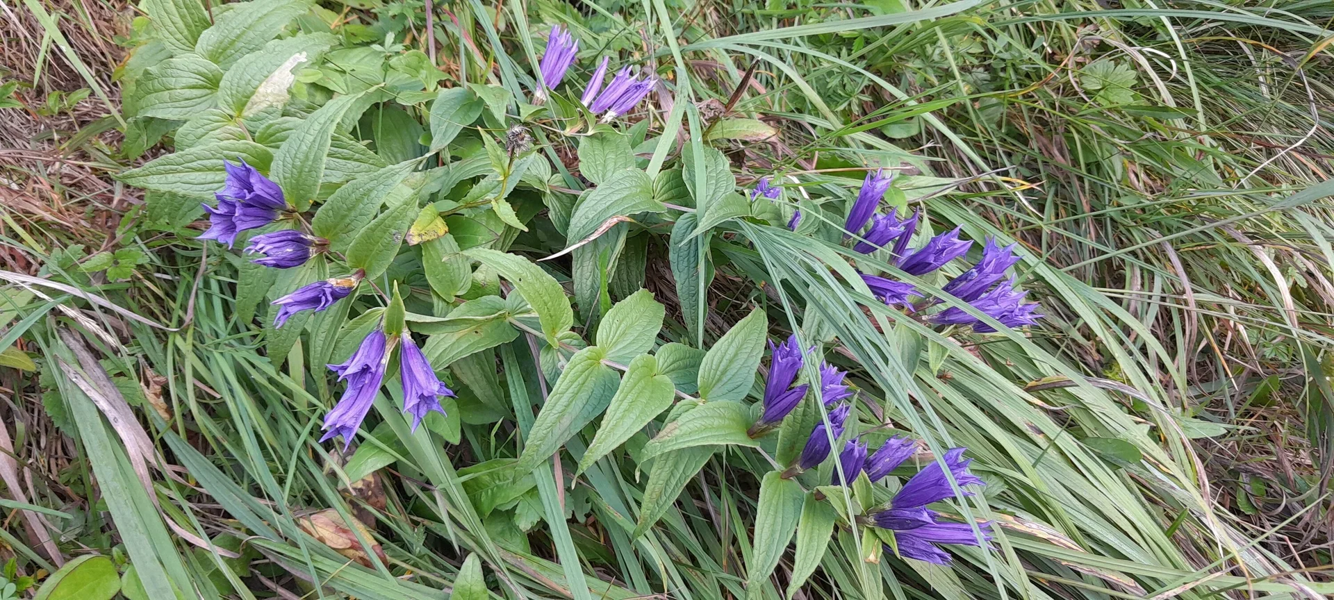 © Bergfreunde München bcf