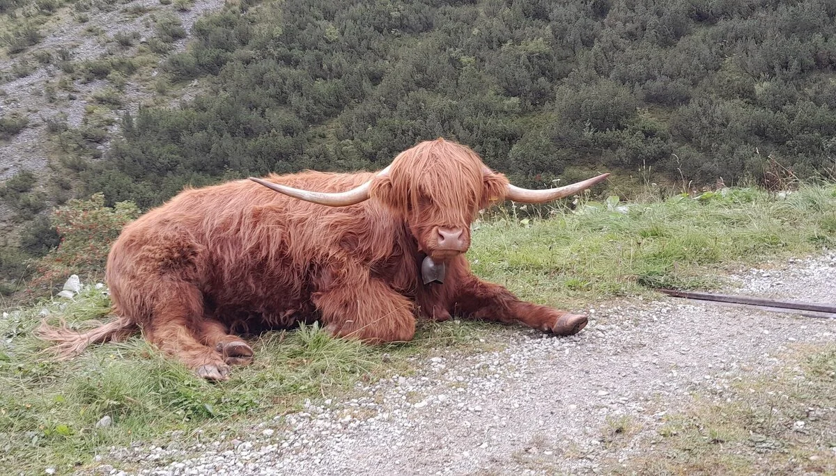 © Bergfreunde München bcf