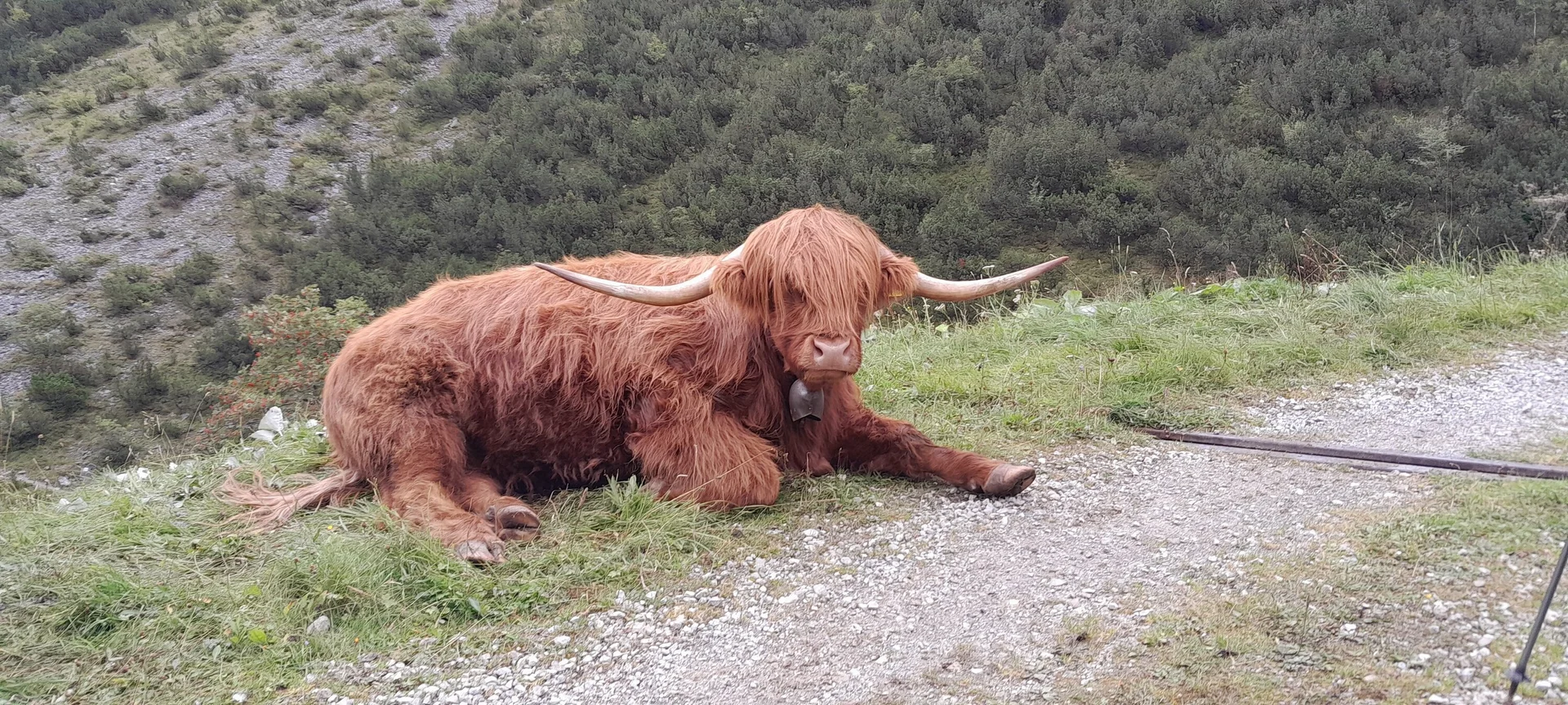 © Bergfreunde München bcf