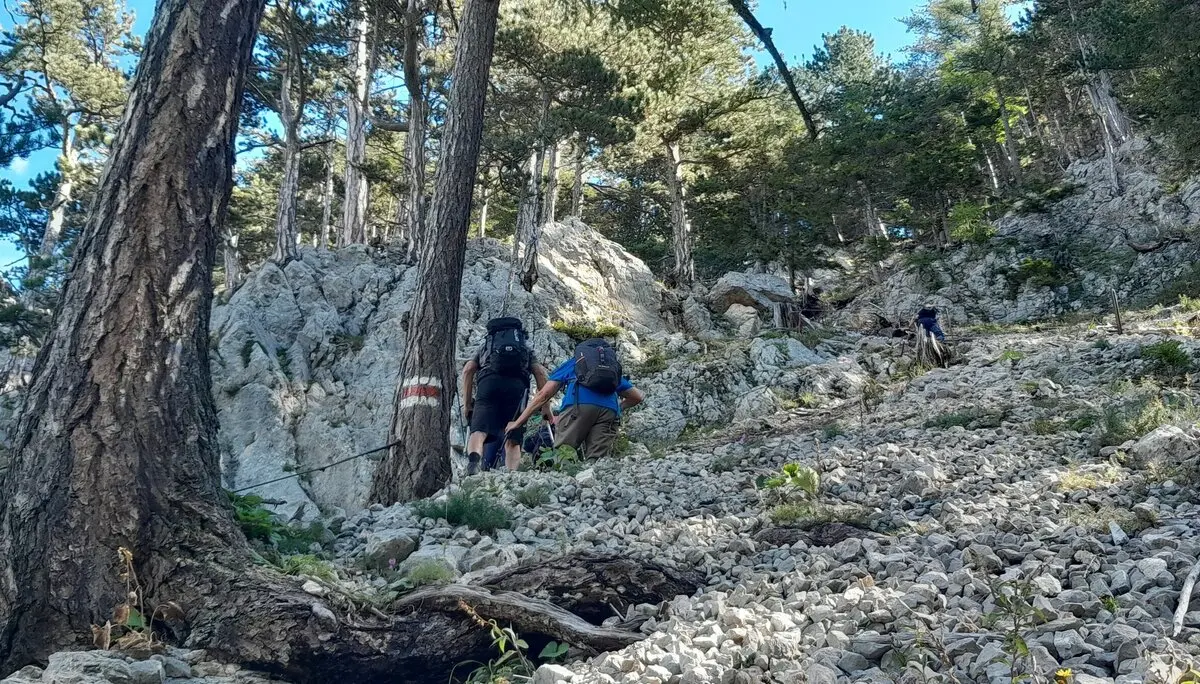 © Bergfreunde München HSM