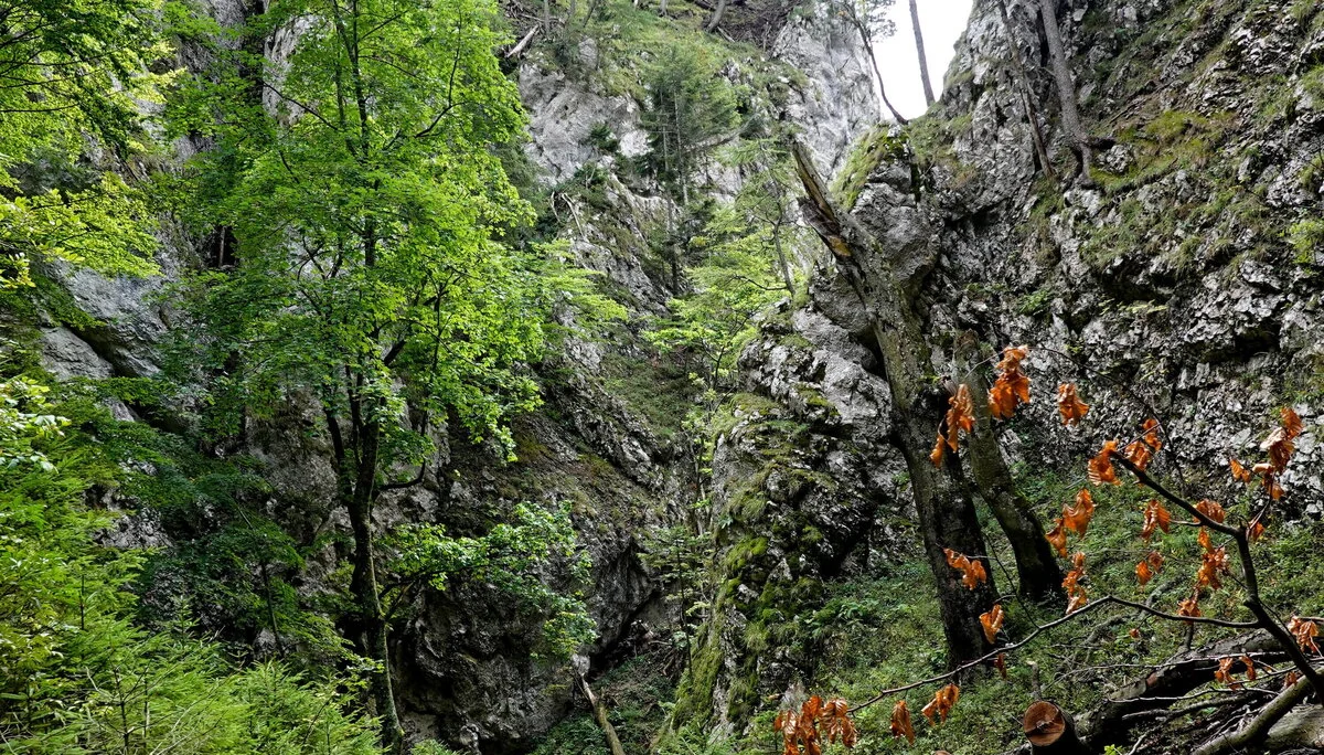 © Bergfreunde München HSM