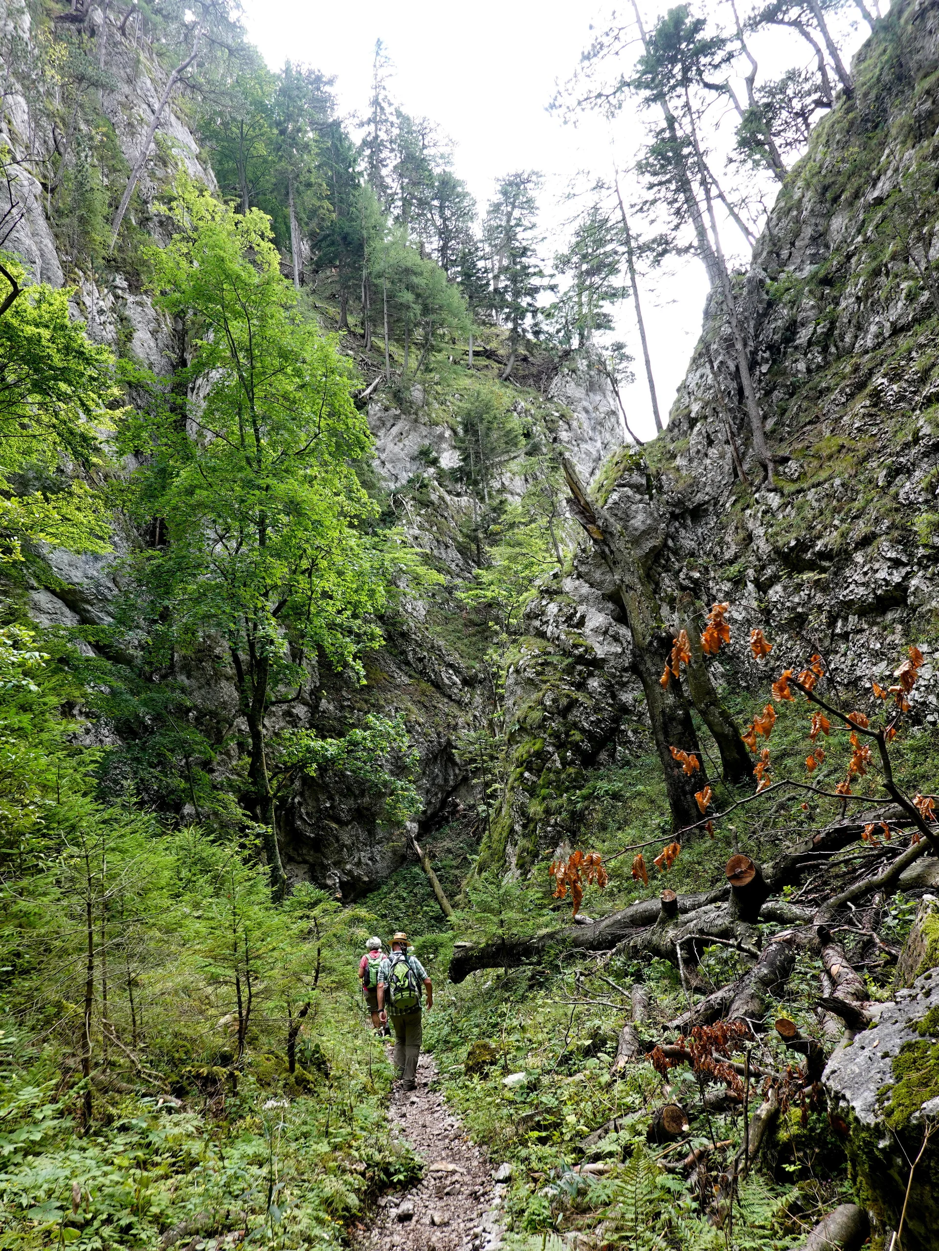© Bergfreunde München HSM