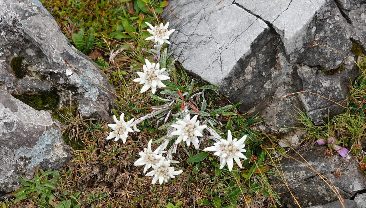 © Bergfreunde München HSM