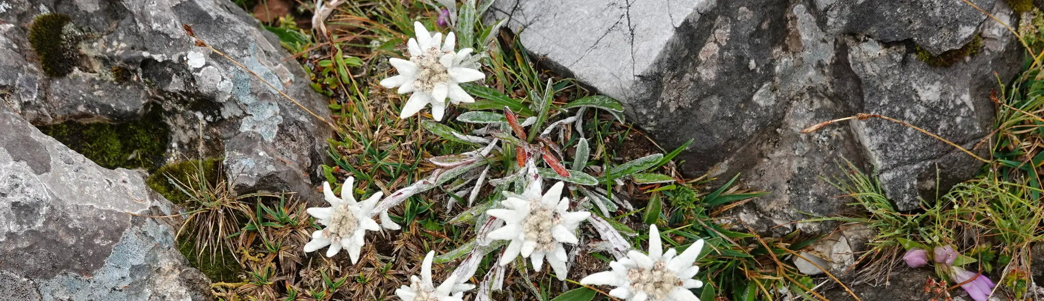 © Bergfreunde München HSM