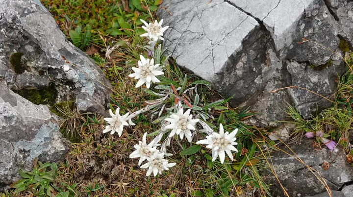 © Bergfreunde München HSM