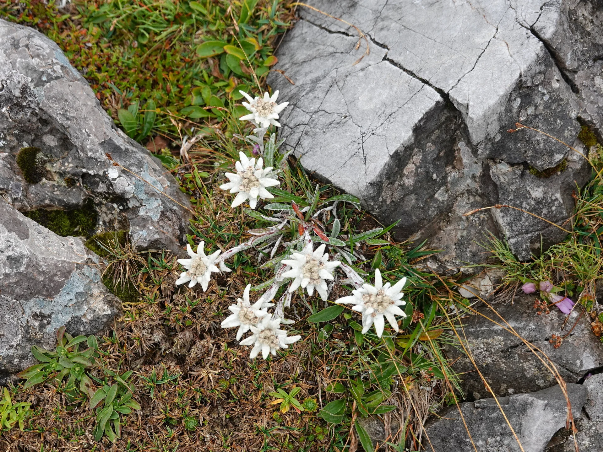 © Bergfreunde München HSM