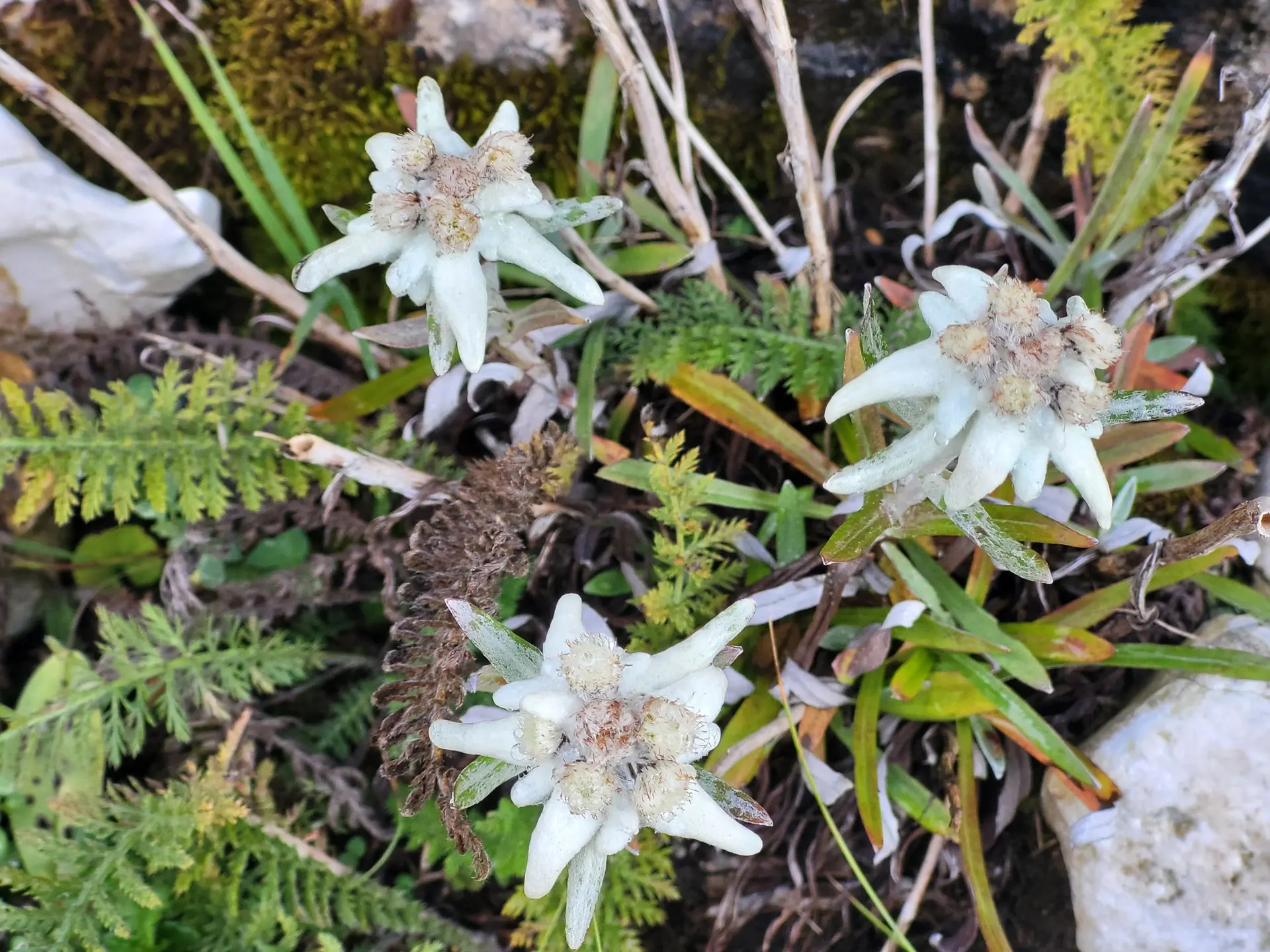 © Bergfreunde München BE