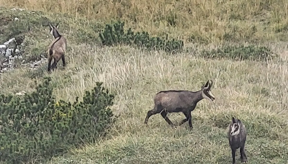 © Bergfreunde München BE