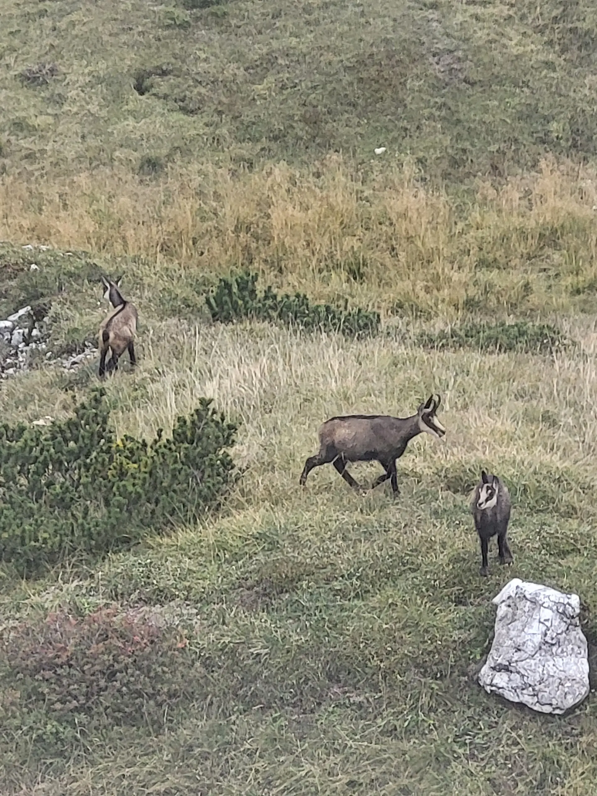 © Bergfreunde München BE