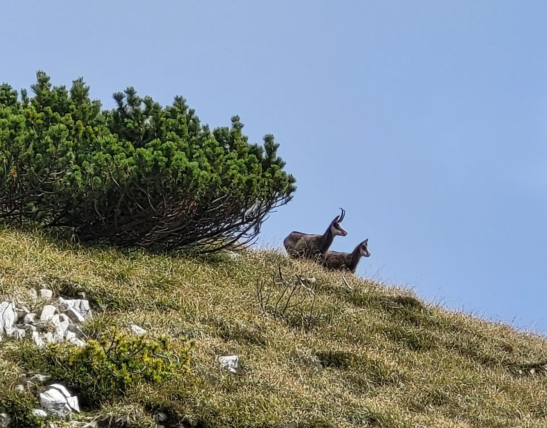 © Bergfreunde München BE