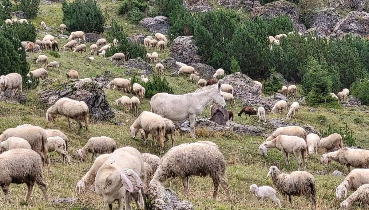 © Bergfreunde München BE