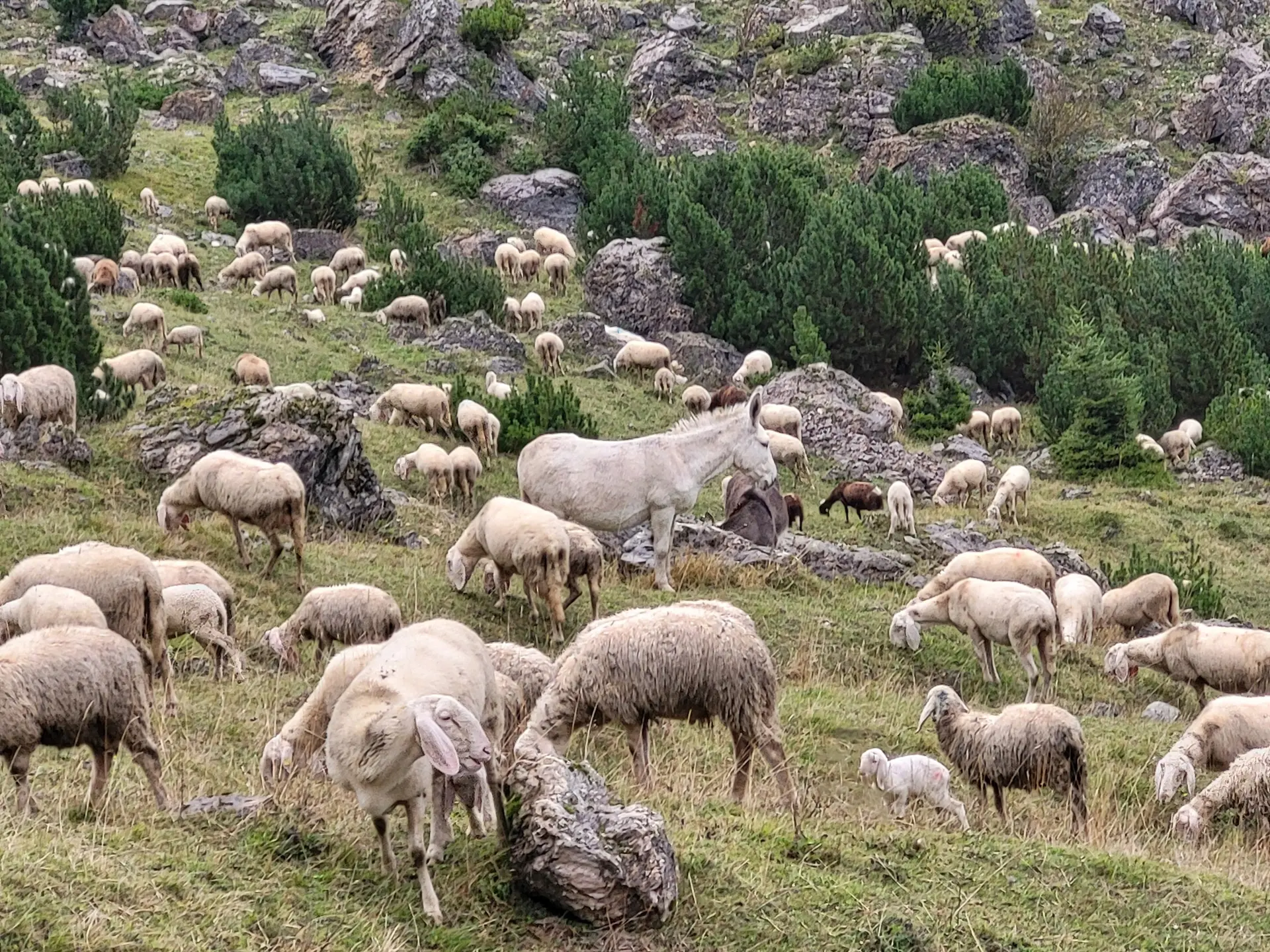 © Bergfreunde München BE