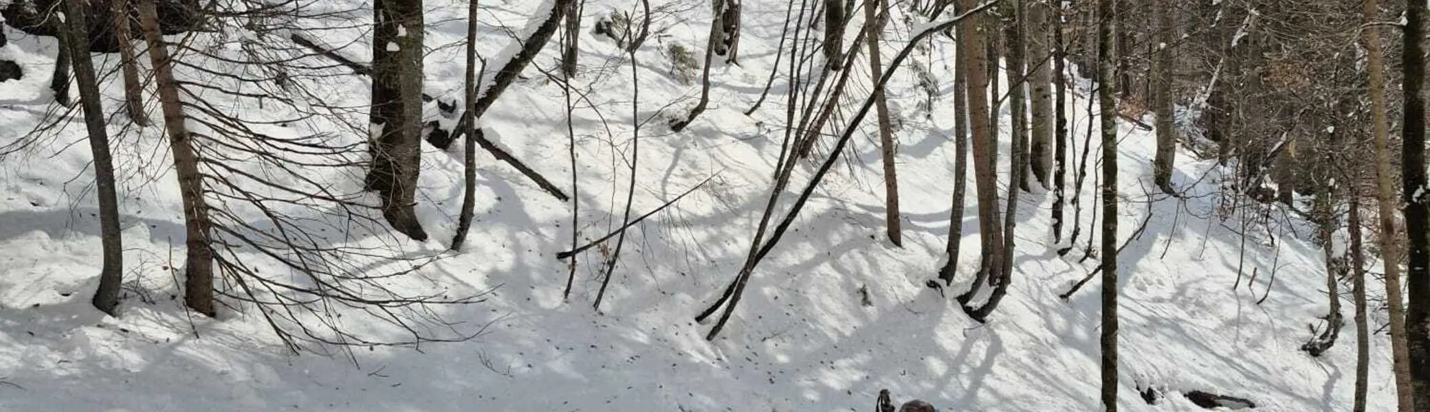 © Bergfreunde München