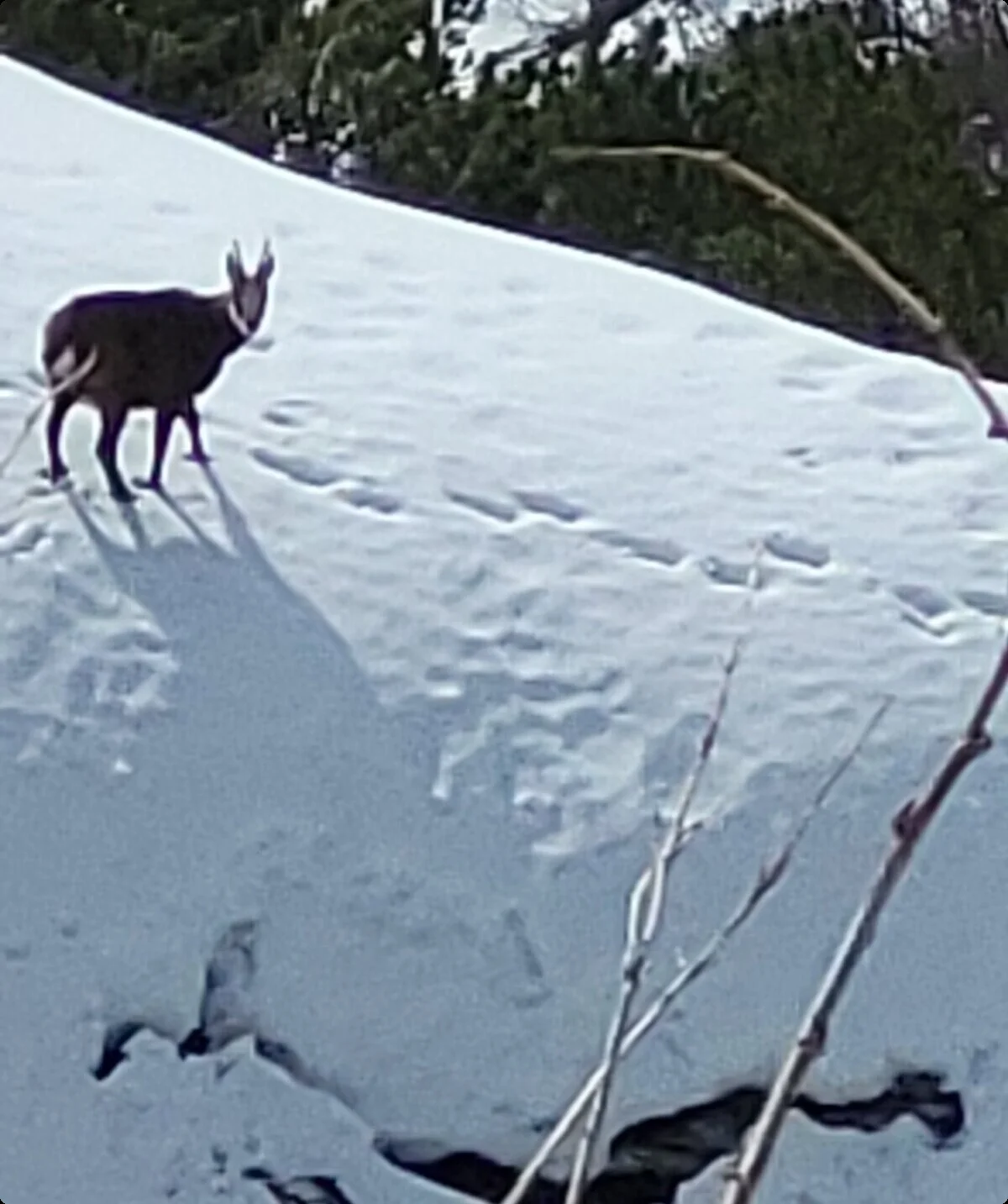 © Bergfreunde-Muenchen