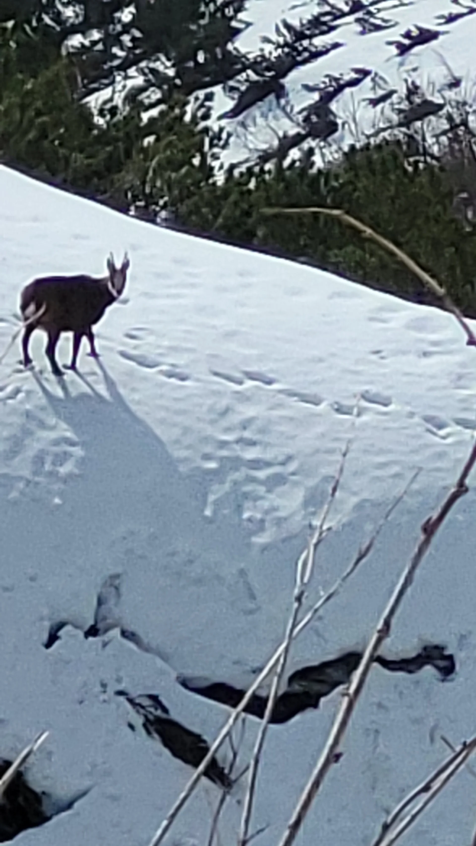 © Bergfreunde-Muenchen