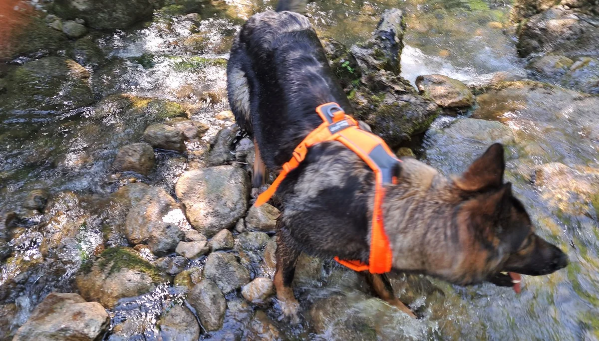 © Bergfreunde München/TAN