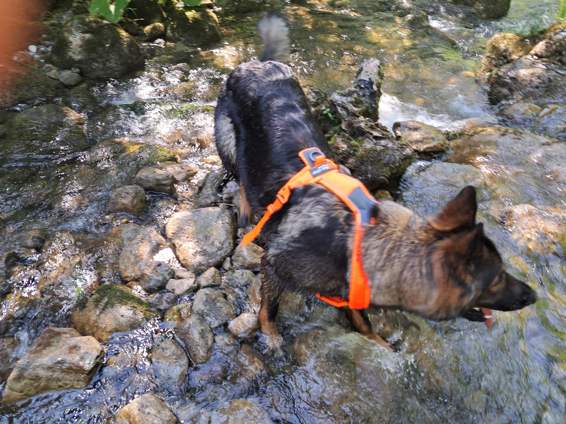 © Bergfreunde München/TAN