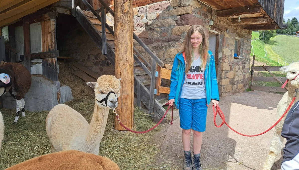 Alpakas im Stall | © Bergfreunde München/TAN