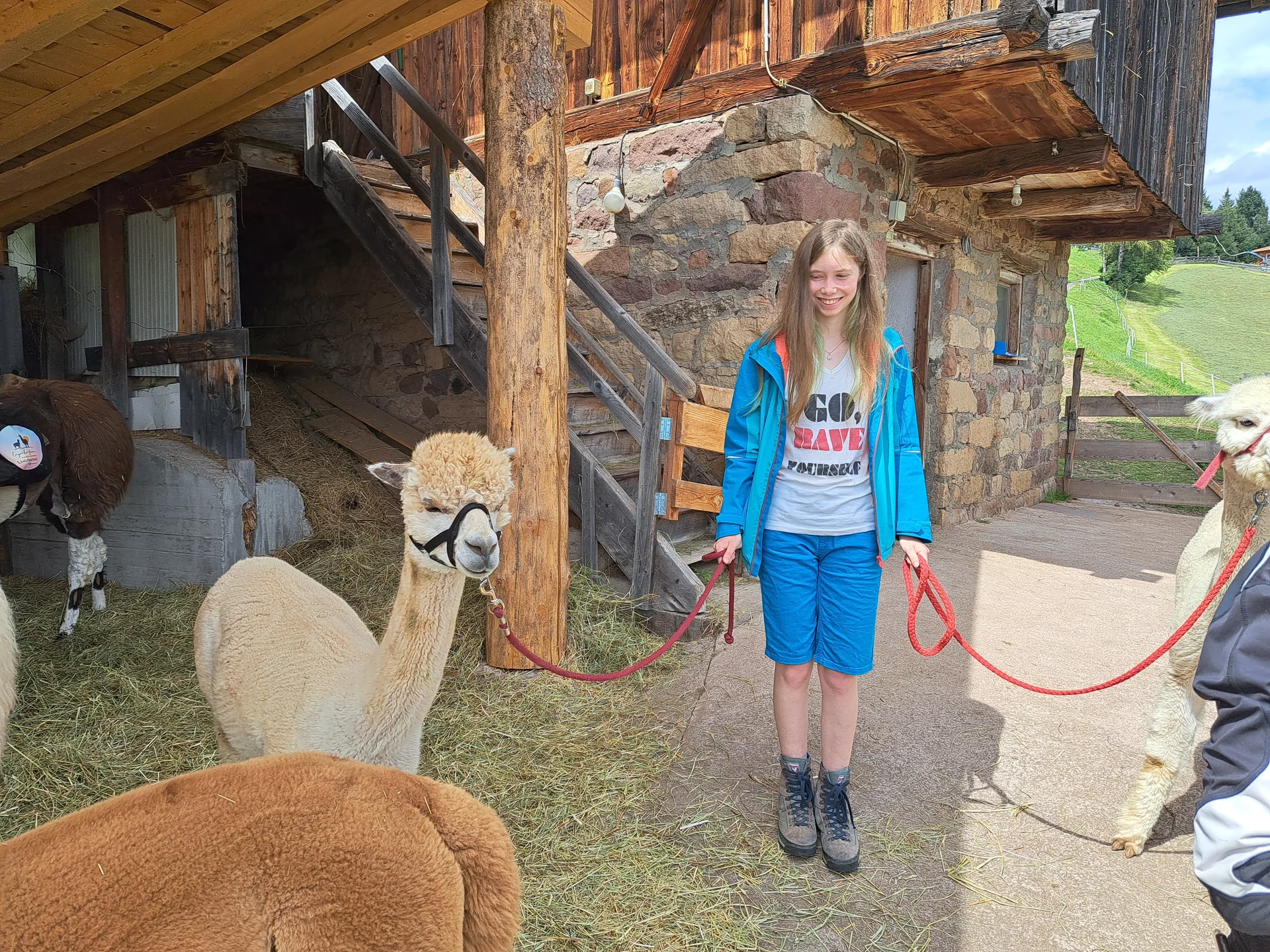 Alpakas im Stall | © Bergfreunde München/TAN