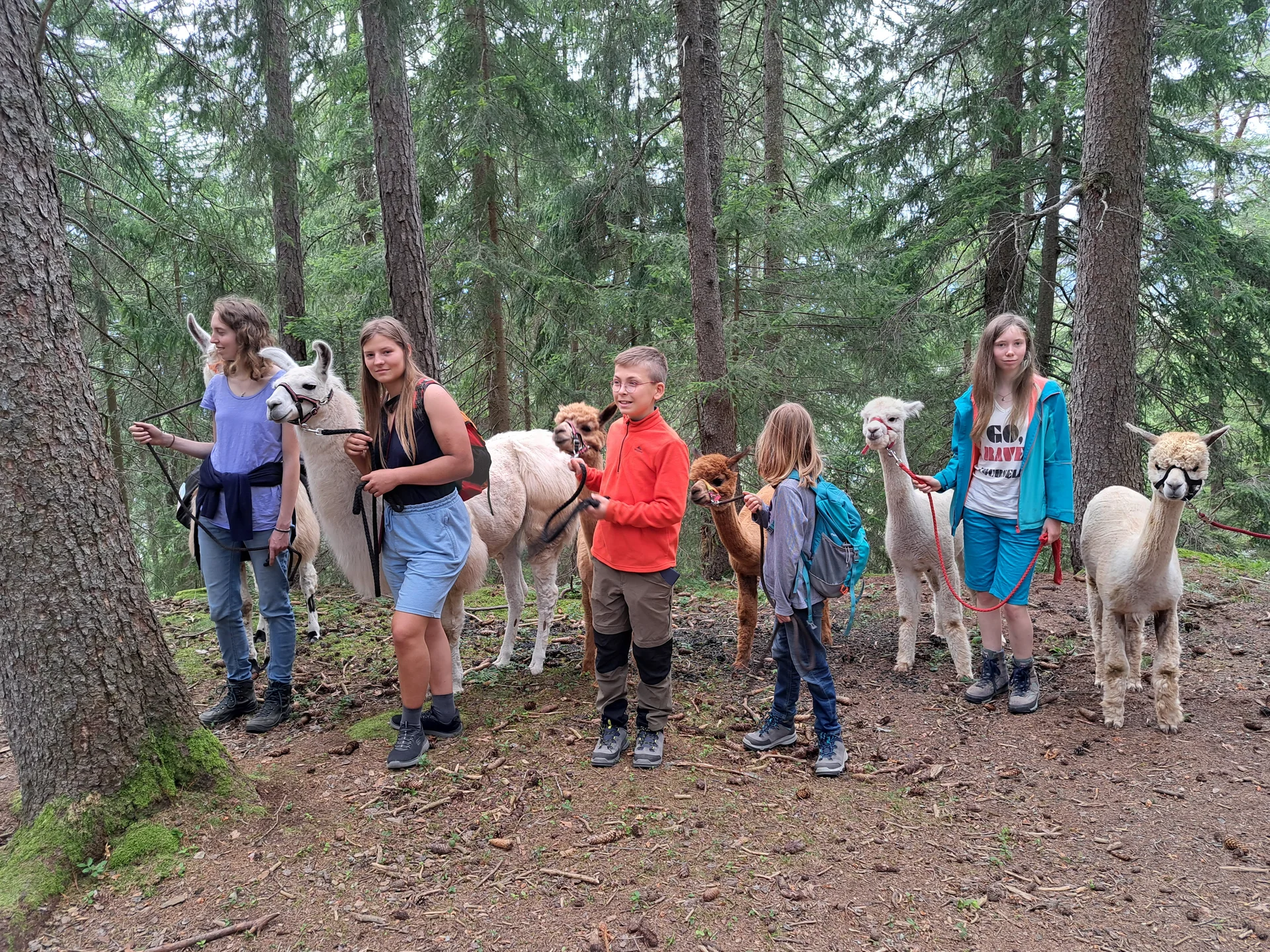 Gruppenbild mit Alpakas | © Bergfreunde München/TAN