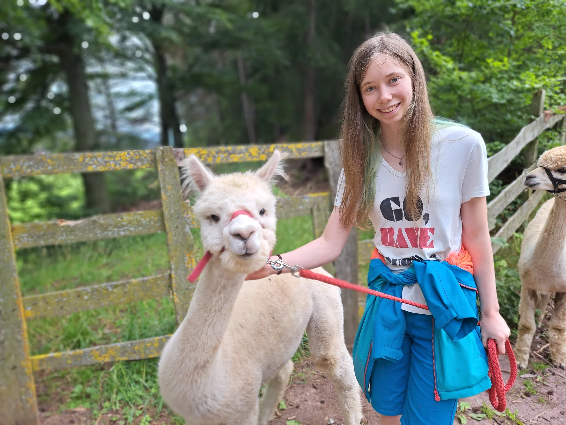 Portrait mit Alpaka 2 | © Bergfreunde München/TAN