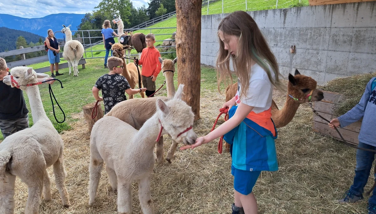 Fütterung | © Bergfreunde München/TAN