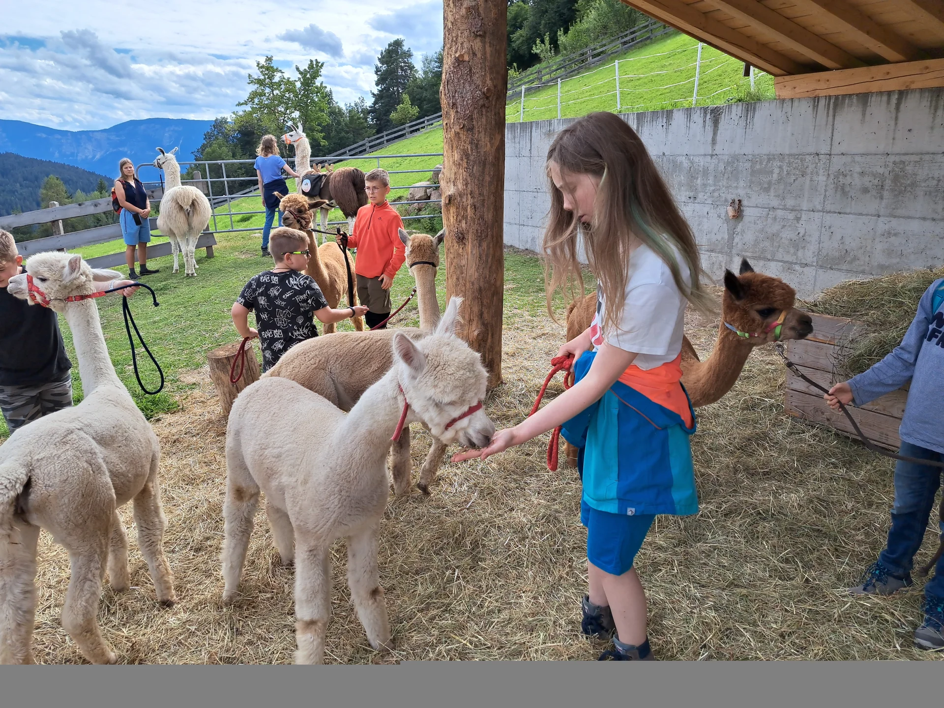 Fütterung | © Bergfreunde München/TAN