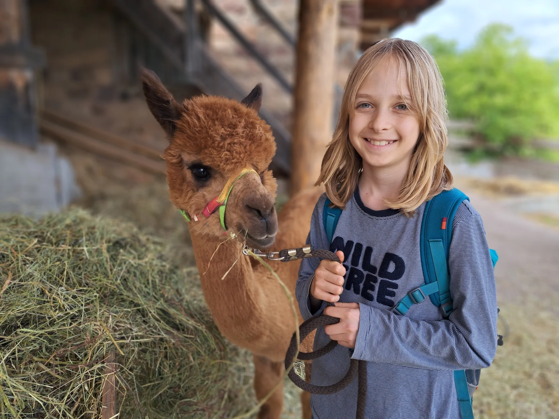 Portrati mit Alpaka 4 | © Bergfreunde München/TAN