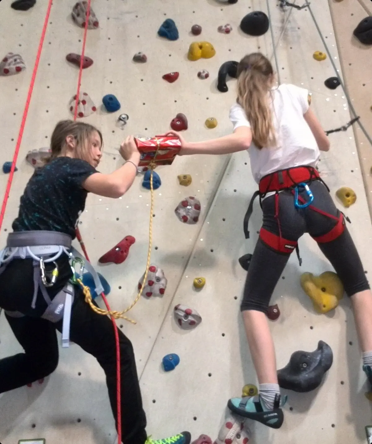 © Sektion Bergfreunde München