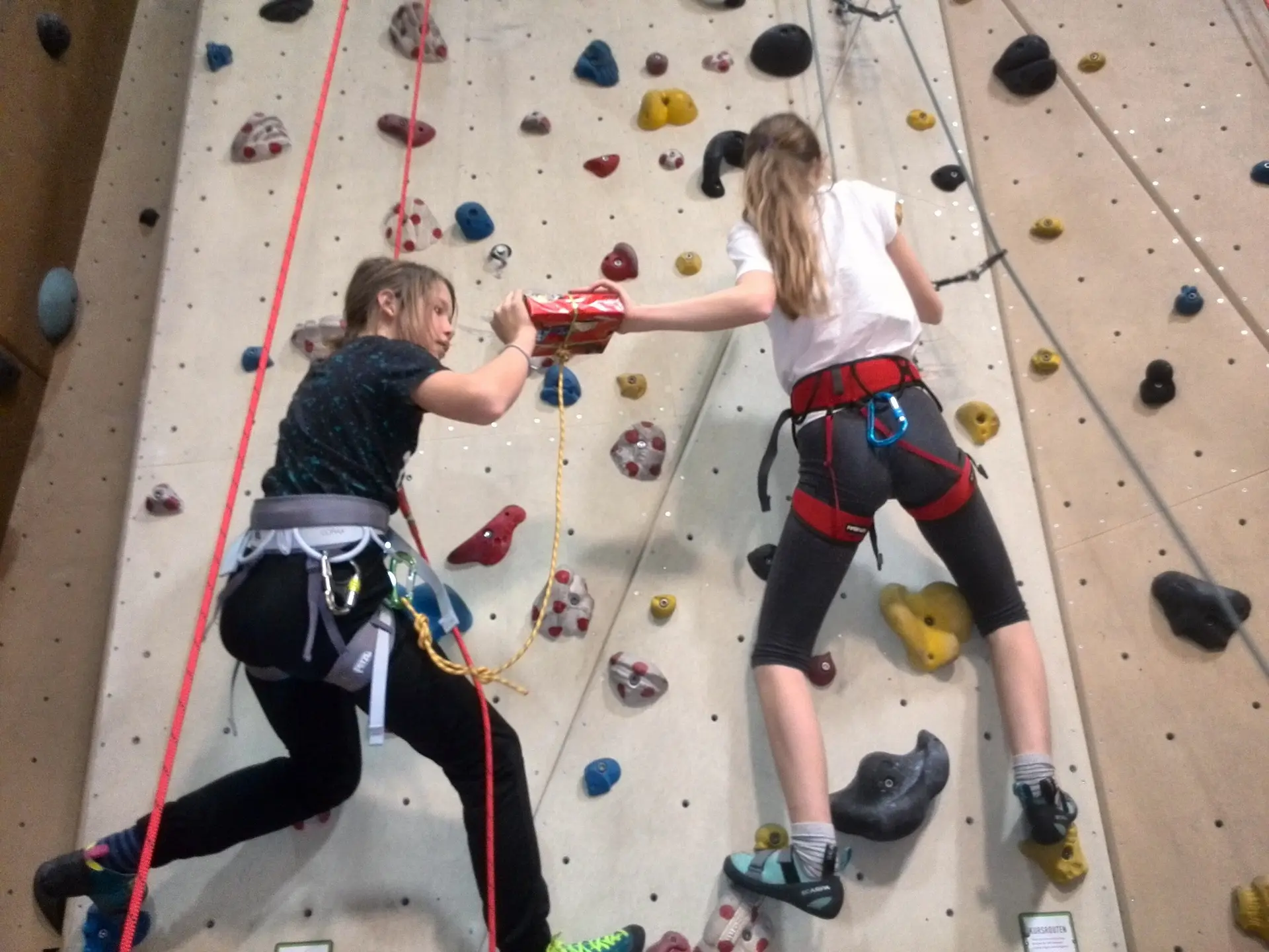 © Sektion Bergfreunde München