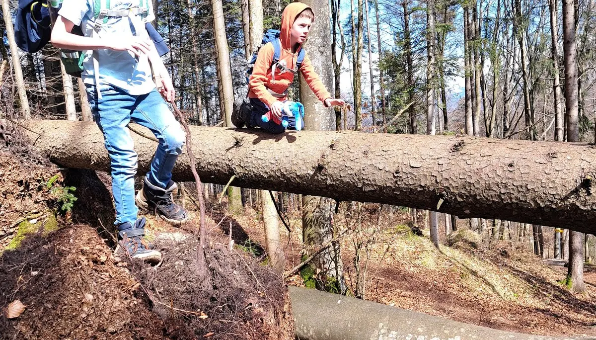 Wanderung vom Hechtsee zum Längsee | © Bergfreunde München/TAN