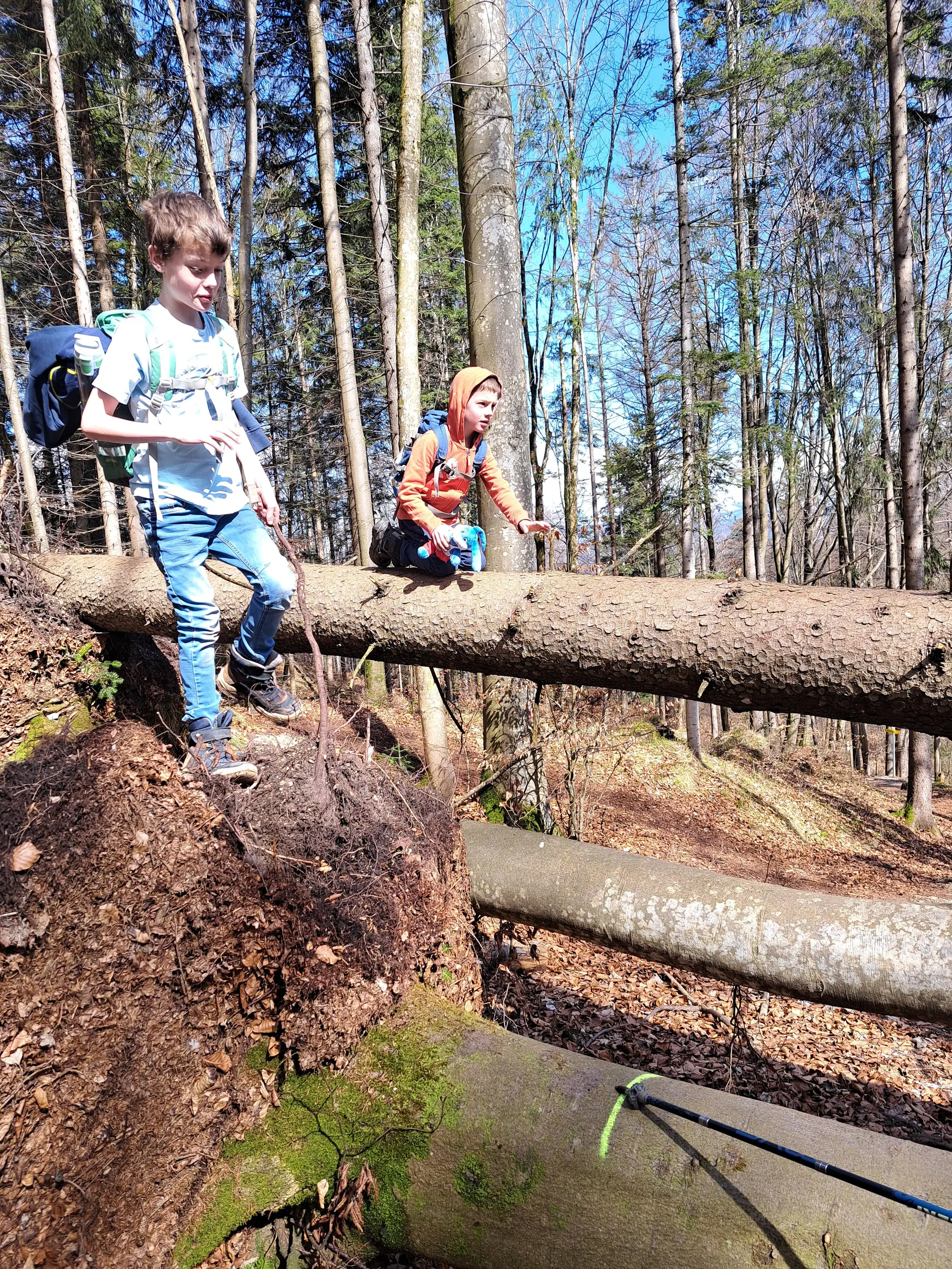 Wanderung vom Hechtsee zum Längsee | © Bergfreunde München/TAN