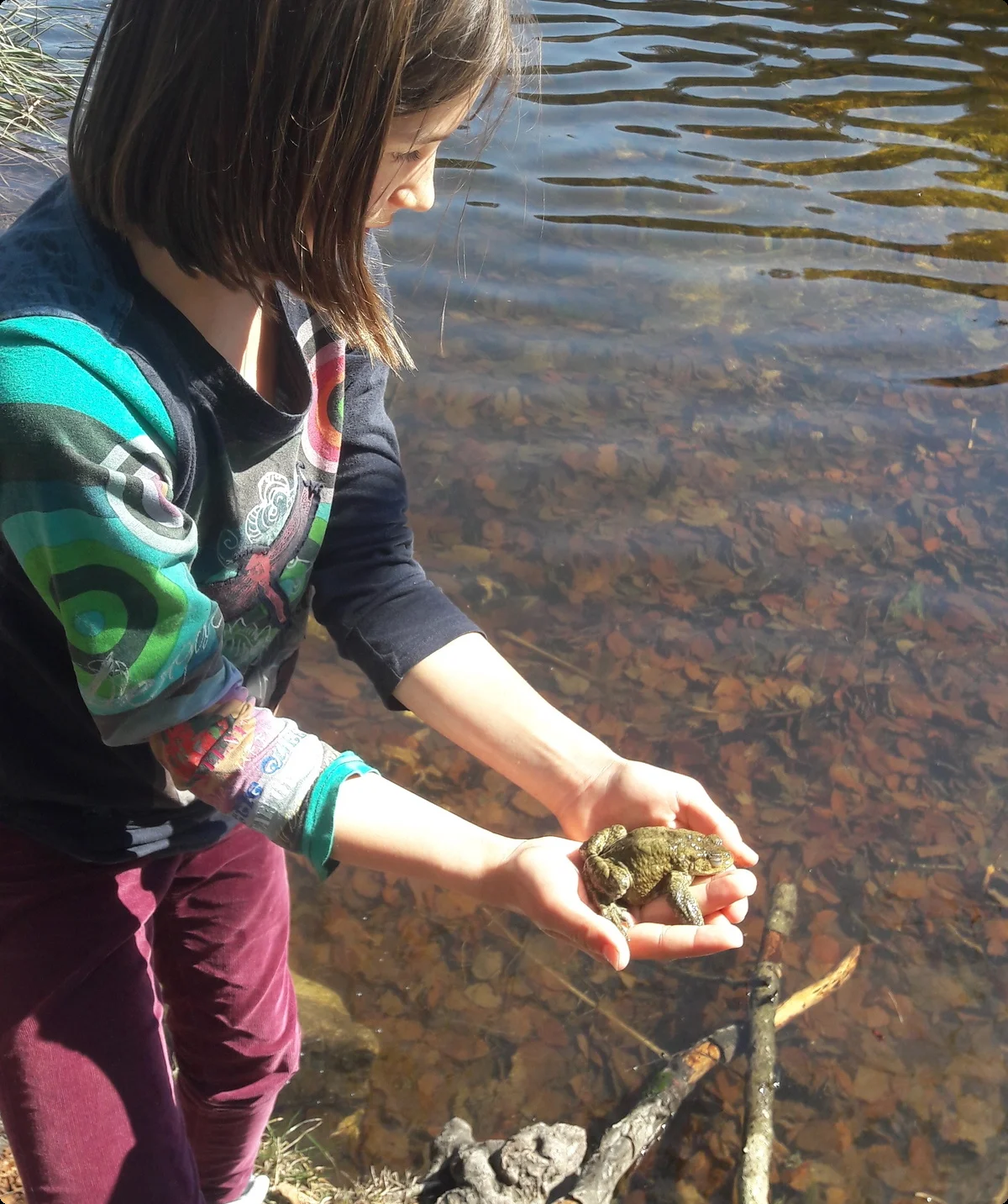 Kröte | © Bergfreunde München/TAN