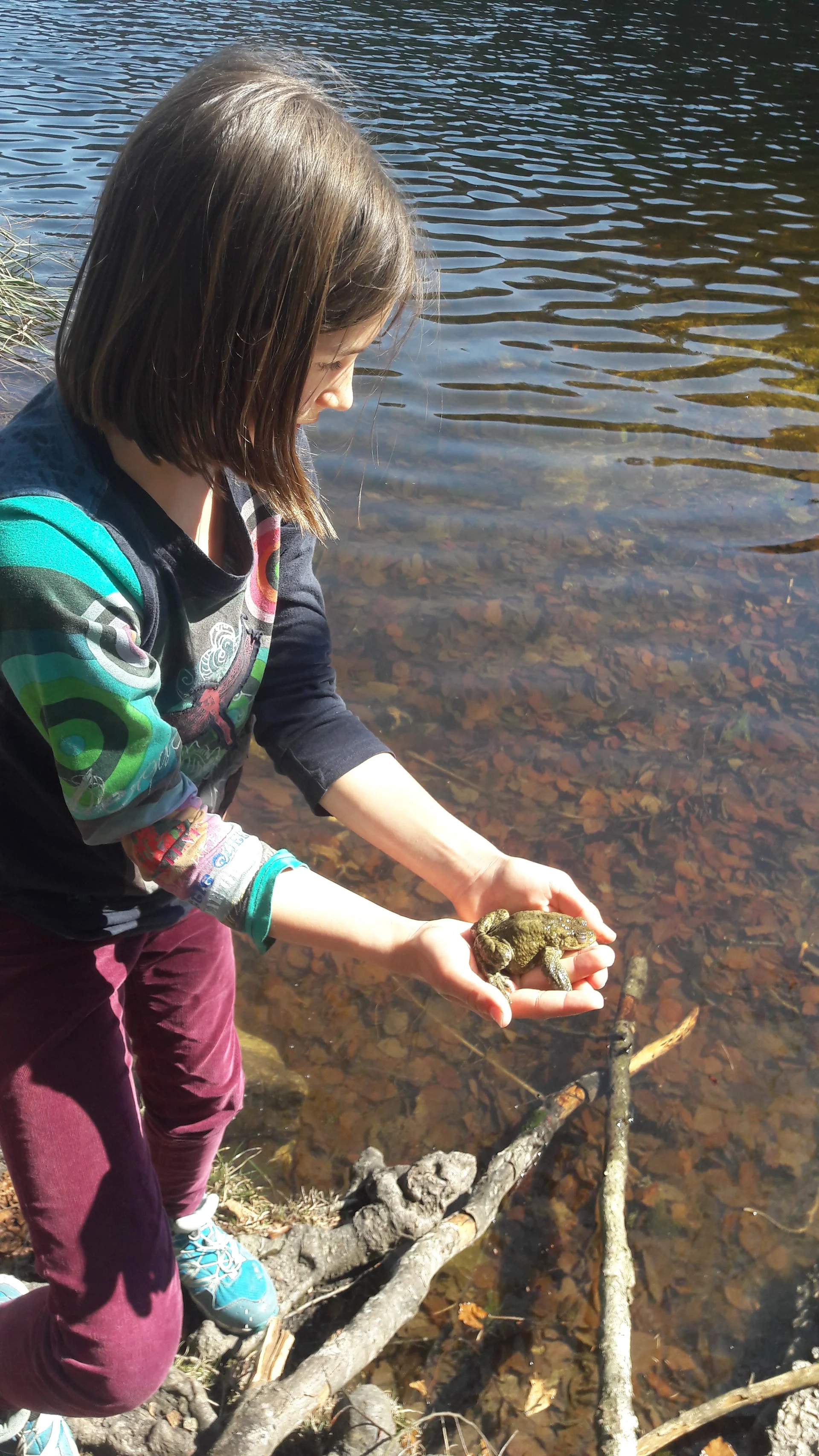 Kröte | © Bergfreunde München/TAN