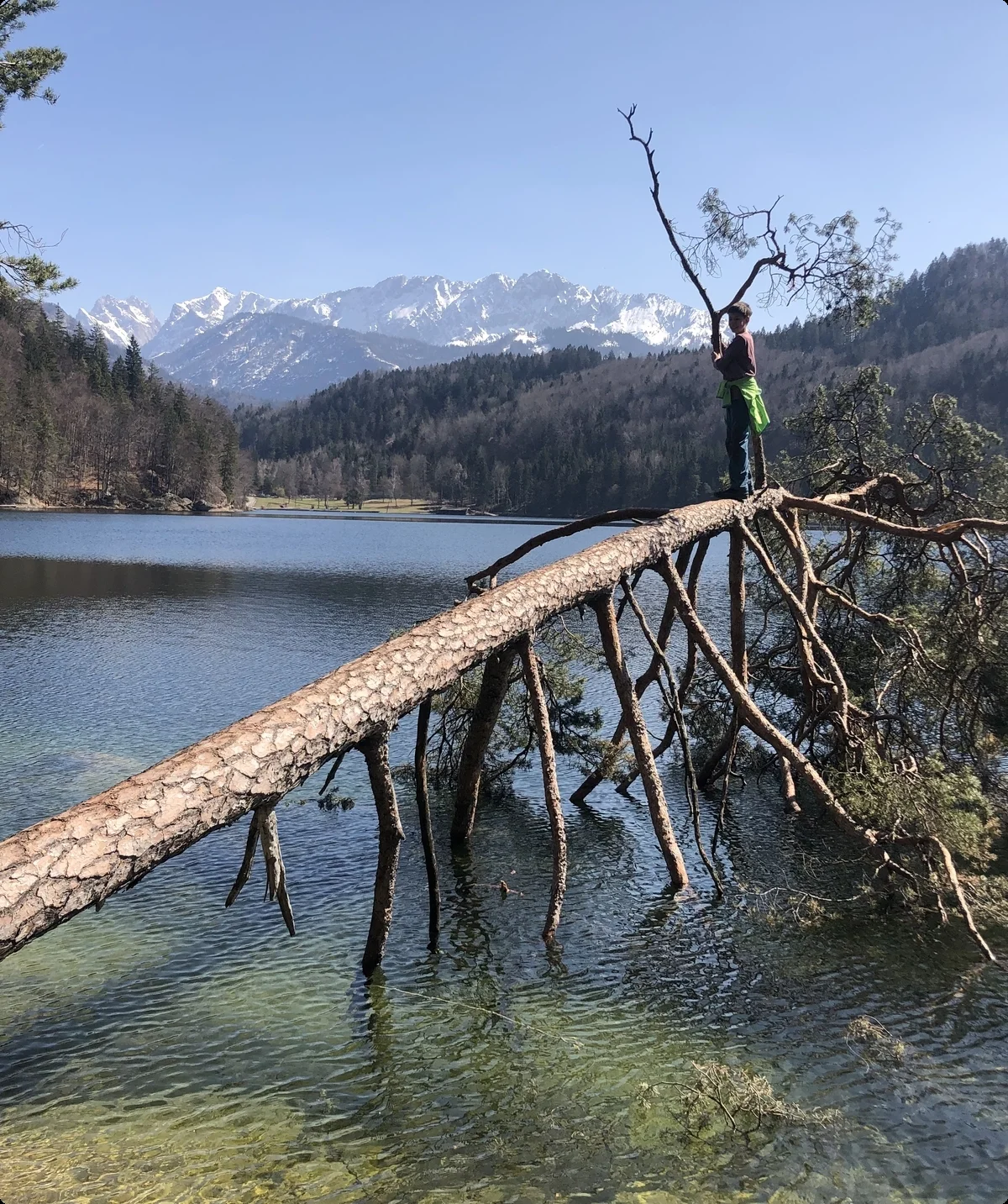 Balancieren über Baum | © Bergfreunde München/SM