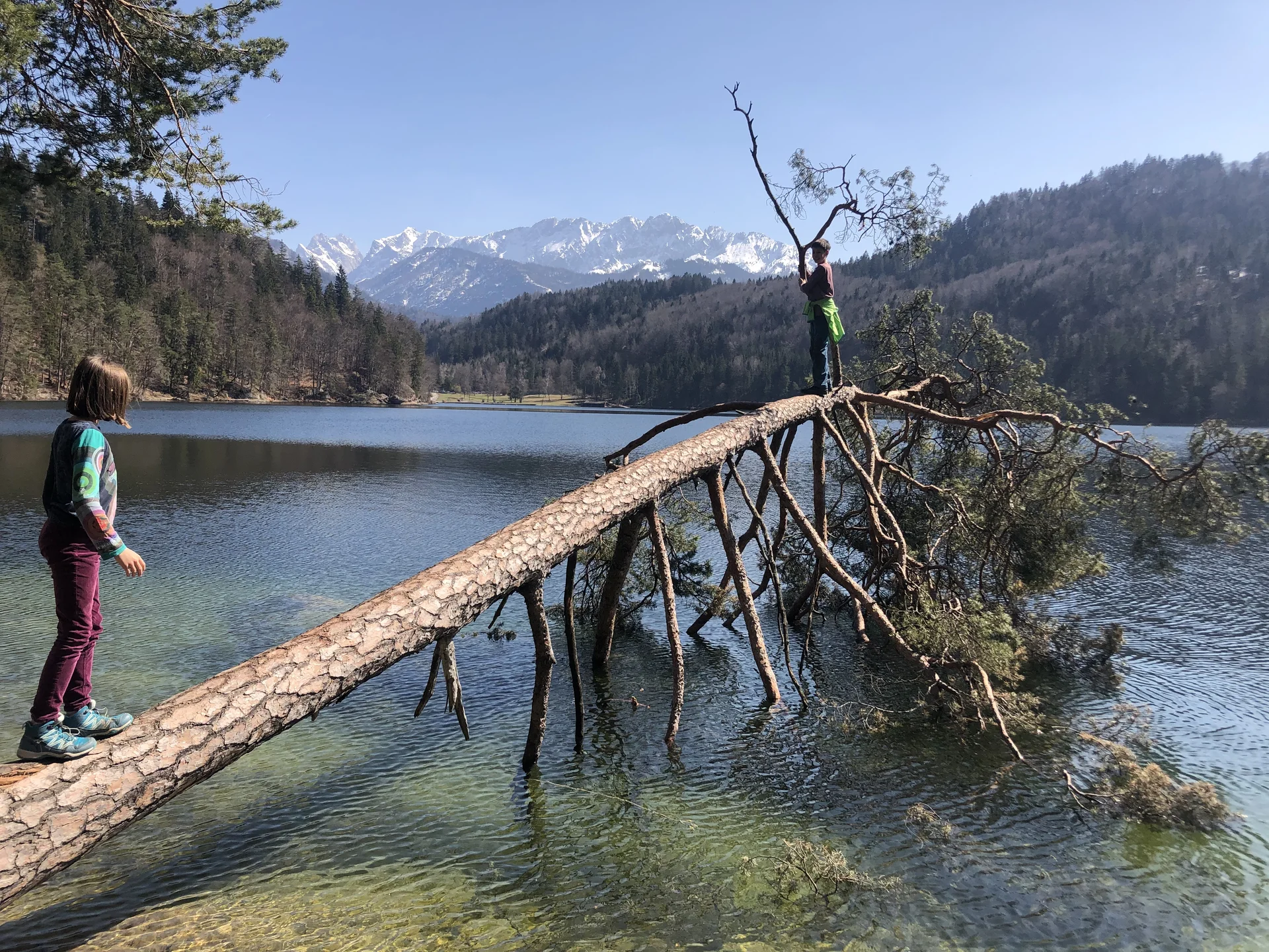 Balancieren über Baum | © Bergfreunde München/SM