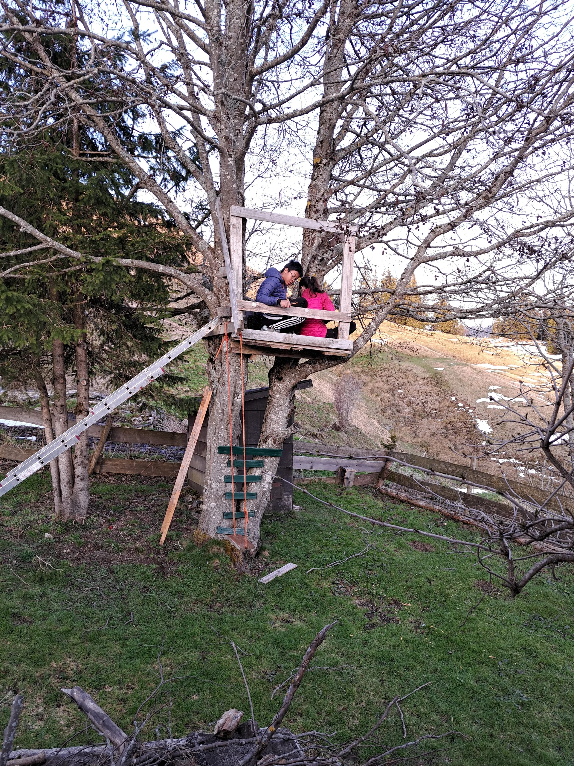 Baumhaus Spitzsteinalm | © Bergfreunde München/TAN