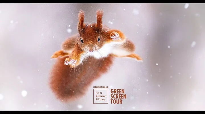 © Green Screen