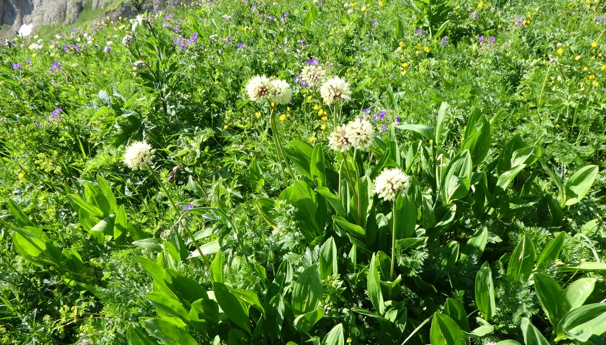 © Bergfreunde München