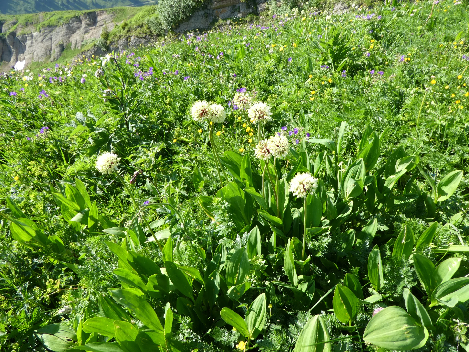 © Bergfreunde München