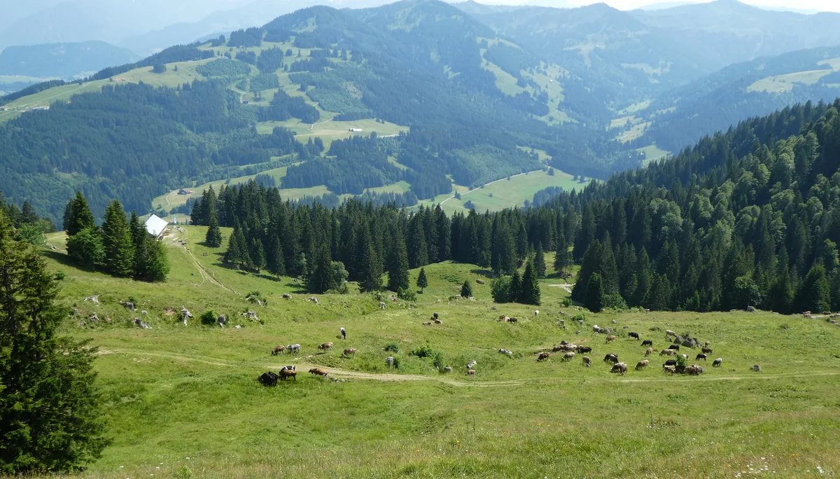 © Bergfreunde München