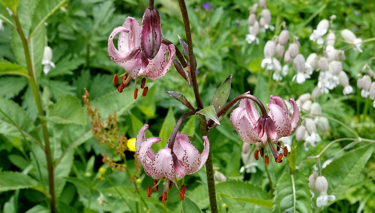 © Bergfreunde München 