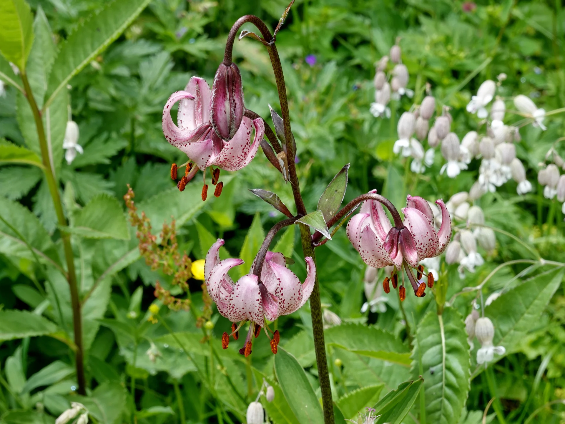 © Bergfreunde München 