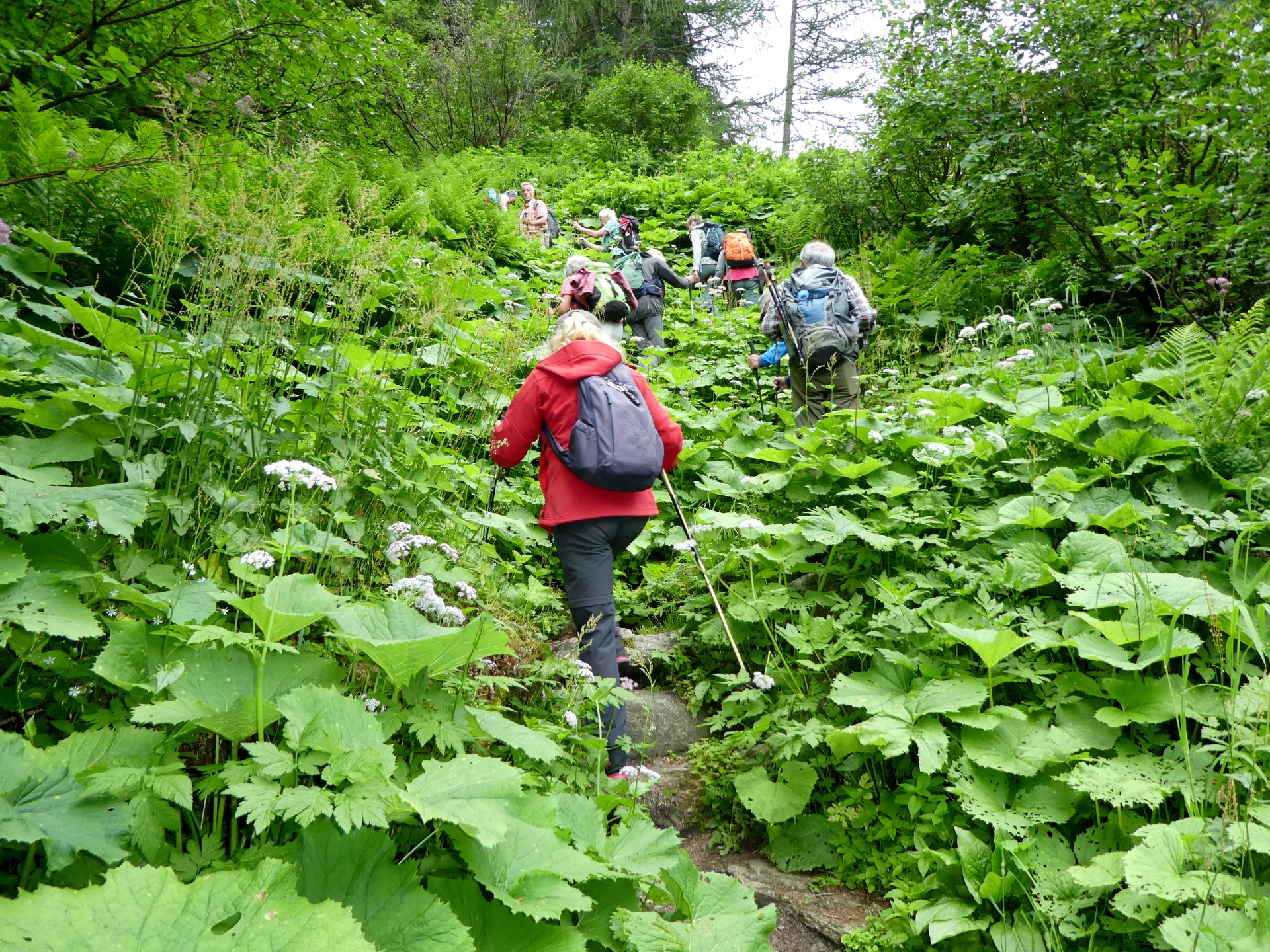 © Bergfreunde München 