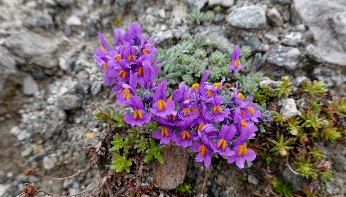 © Bergfreunde München 