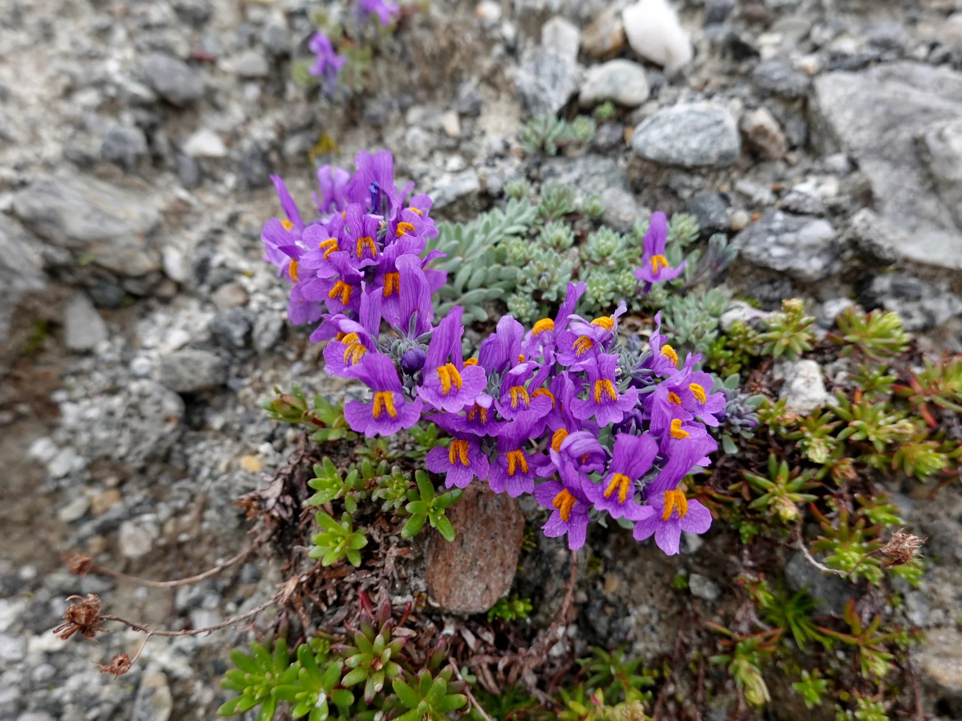 © Bergfreunde München 